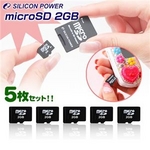 SILICON POWER microSD 2GB 5Zbg