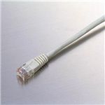 エレコム イーサネットケーブル(アイボリー)10M LD-CT_T10