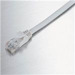 エレコム プロテクタ付きGケーブル LD-GP_BE2
