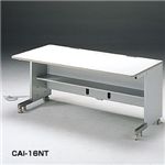 サンワサプライ 中棚（W1200用） CAI-12NT