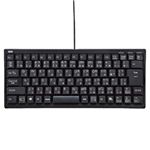 サンワサプライ USBロングケーブルキーボード SKB-LKG3BK