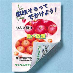 サンワサプライ インクジェット用両面印刷紙・厚手（大容量） JP-RV100AG