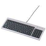 サンワサプライ スリムキーボード SKB-SL02