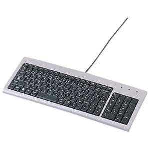 サンワサプライ スリムキーボード SKB-SL02U