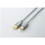 エレコム USB2.0ケーブル U2C-B10SV
