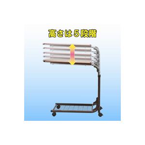 㓡 }`TChe[u z|Pbgt 870244摜R