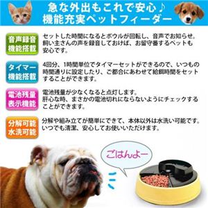 BPS I[g}`bNybgtB[_[ a BPS-P55Y摜Q