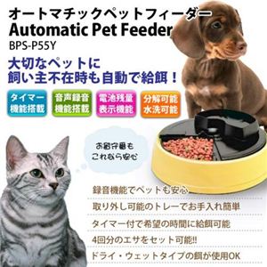 BPS I[g}`bNybgtB[_[ a BPS-P55Y摜R