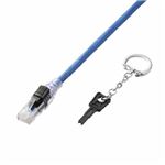 ELECOM（エレコム） ロック付きLANケーブル（Cat6、ロック解除キー付） LD-GPLK／BU15