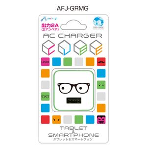 エアージェイ USBポートACフェイス充電器 2A GR メガネ AFJ-GRMG