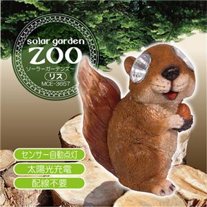 マクロス ソーラーガーデンズー リス MCE-3657