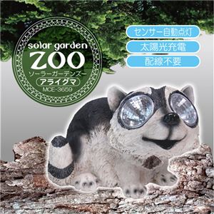 マクロス ソーラーガーデンズー アライグマ MCE-3659