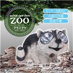 マクロス ソーラーガーデンズー アライグマ MCE-3659