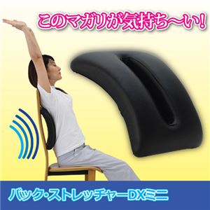 富士商 バック・ストレッチャー DXミニ 809764