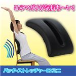 富士商 バック・ストレッチャー DXミニ 809764