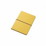 エレコム iPadAir2用フラップカバー（フリーアングルタイプ） TB-A14WVFMYL