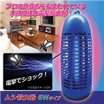 プロモート ムシ殺虫器 6Wタイプ 810160