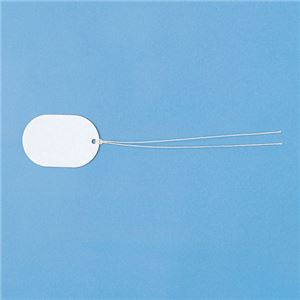 （まとめ）サンワサプライ ファイバータグ CA-TAG137【×10セット】
