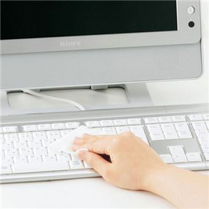 （まとめ）サンワサプライ OAウェットティッシュ（パソコン用） CD-WT1P30【×10セット】