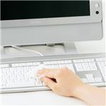 （まとめ）サンワサプライ OAウェットティッシュ（パソコン用） CD-WT1P30【×10セット】