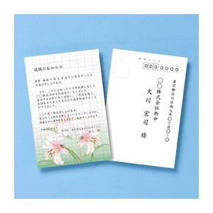 （まとめ）サンワサプライ インクジェット試し刷り用紙（方眼入り） JP-HKTEST3-200【×5セット】