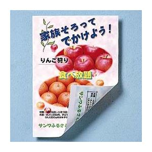 （まとめ）サンワサプライ インクジェット用両面印刷紙・厚手（A3ノビ） JP-RV20AGA3N【×3セット】
