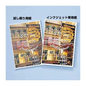 （まとめ）サンワサプライ インクジェット試し刷り用紙（2L判） JP-TEST2L3【×20セット】