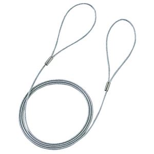 （まとめ）サンワサプライ eセキュリティ（ワイヤー、1.0m・1.6mm） SLE-3W【×10セット】