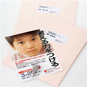（まとめ）サンワサプライ 下地が透けないマルチラベル（12面） LB-EM25【×3セット】