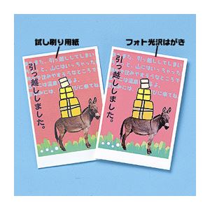 （まとめ）サンワサプライ インクジェット試し刷り用紙 JP-HKTEST【×20セット】