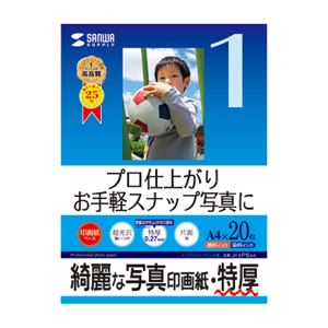 （まとめ）サンワサプライ インクジェット写真印画紙・特厚 JP-EP6A4【×5セット】
