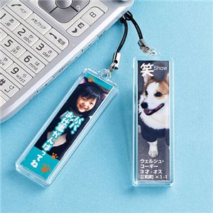 （まとめ）サンワサプライ 手作りストラップキット（スティック型） JP-ST14【×5セット】