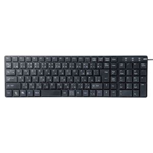 （まとめ）サンワサプライ USBスリムキーボード SKB-SL13BK【×2セット】