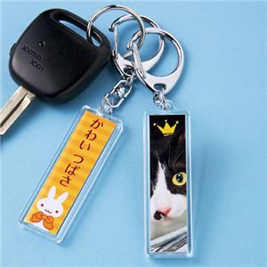 （まとめ）サンワサプライ 手作りキーホルダーキット（スティック型） JP-ST15【×5セット】