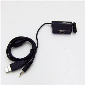 （まとめ）サンコー マイク付きUSB HUB AKIBA125【×10セット】