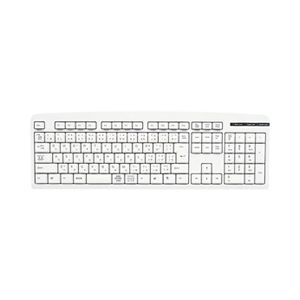 （まとめ）サンワサプライ キーボードカバー FA-TSKB109L【×3セット】