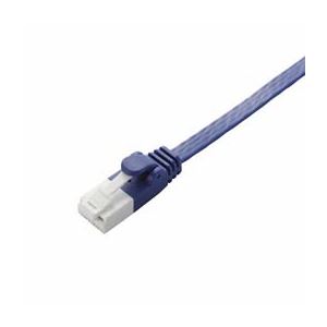 （まとめ）エレコム ツメ折れ防止フラットLANケーブル（Cat6A） LD-GFAT／BM100【×2セット】