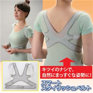 （まとめ）MtoKプランニング スマート スタイリッシュベルト（スタンダードタイプ） 804172【×2セット】
