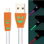 （まとめ）ネクストゼロワン イルミネーションフラットケーブル Lightning 1m CABL13193【×3セット】