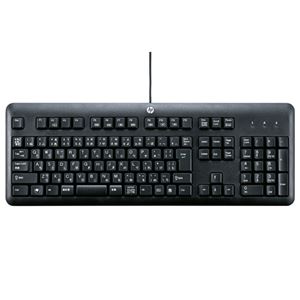 （まとめ）サンワサプライ シリコンキーボードカバー FA-HP5N【×2セット】
