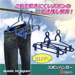 （まとめ）サワフジ ズボンハンガー2本セット 807273【×5セット】