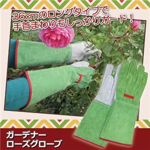 （まとめ）ジャステム ガーデナーローズグローブ 810165【×2セット】