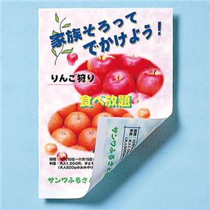 （まとめ）サンワサプライ インクジェット用両面印刷紙・厚手 JP-ERV5NA4【×5セット】