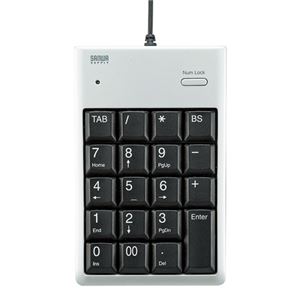 （まとめ）サンワサプライ USBテンキー NT-16UPKN【×2セット】