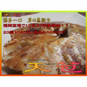 天苞『イカスミ・ヤーコン入り』男の黒餃子20個入×2箱