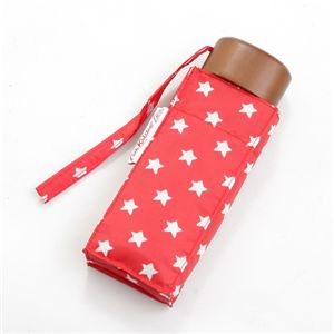 Cath Kidston(LXLbh\)@Mtg{bNX@܂ݎP@TINY2 Gift BoxEStar Red摜2