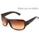Ray Ban �T���O���X4097-714/13�^�u���E�� �V�F�[�h�~�u���E��