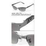 Ray Ban�ʥ쥤�Х�� ���󥰥饹 3318-001/6V��3318���饤�ȥ֥饦�󥰥�ǡ������ߥ�����ɡ����ꥢ�֥饦��