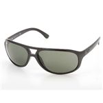 RayBan(レイバン) サングラス 4084-601/4084・グリーンスモーク×ブラック