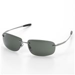 RayBan(レイバン) サングラス 3391-004/71/【B】スモーク×ガンメタル